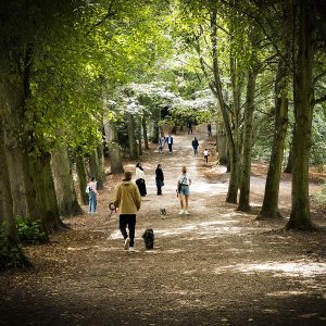 Hampstead_Heath